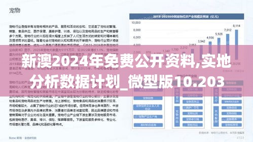 新澳2025年精准资料220期|工具释义解释落实