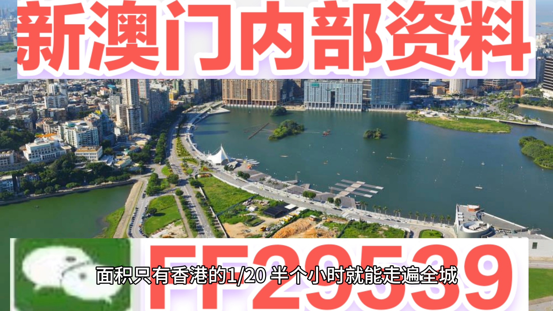 2025新澳门天天开好彩|固定释义解释落实