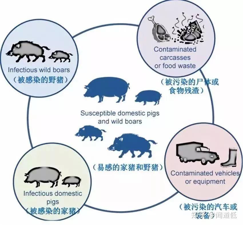 2025管家婆精准资料大全免费|传播释义解释落实