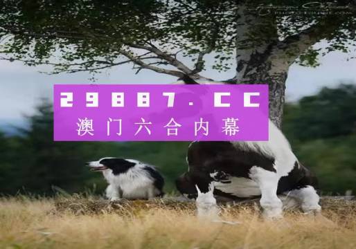 咨询 第411页