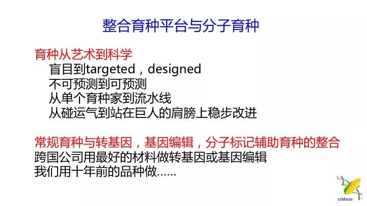 新澳精准资料免费提供|机会释义解释落实