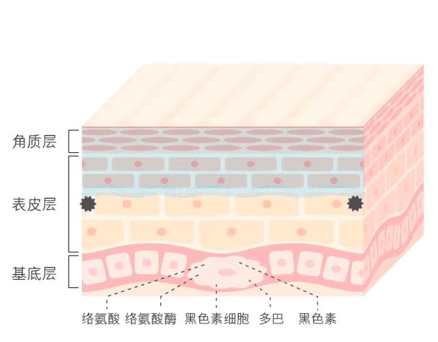 白小姐一码一肖中特1肖|团队释义解释落实