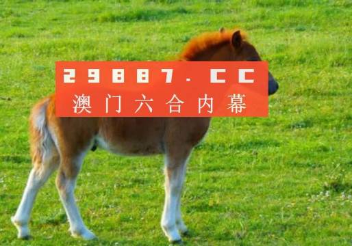 澳门一肖一码一必中一肖同舟前进|多元释义解释落实