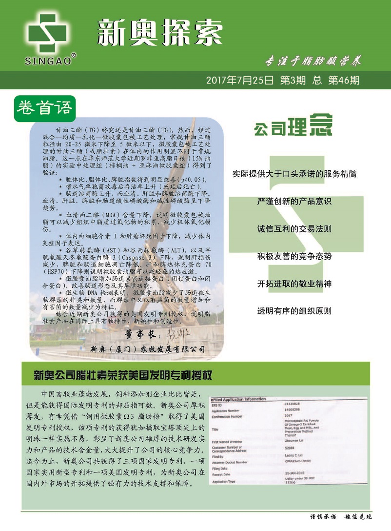 2025新奥正版资料免费提供|符合释义解释落实